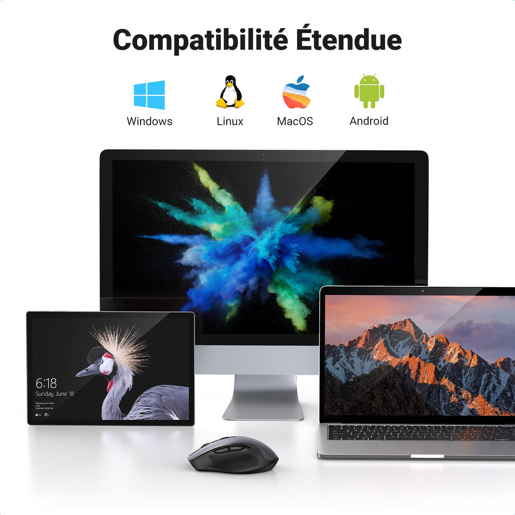 UGREEN Souris sans Fil Ergonomique Silencieuse 2,4GHz 4000 DPI Optique Réglable avec Récepteur USB Souris Ordinateur Autonomie de Pile Prolongée Compatible avec Mac PC Portable Tablette (Noir)