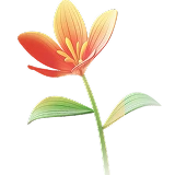 Offres exceptionnelles