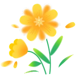 Packs au meilleur prix