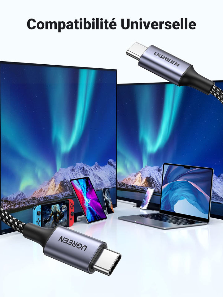 UGREEN Câble USB 3.1 Type C 60W Gen Supporte Vidéo Data Sync